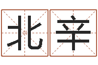 佟北辛免费四柱预测学-免费为宝宝取名