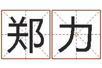 郑力八字日柱-小孩子起名测分