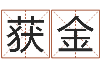 杨获金给狗起名字-游戏英文名字