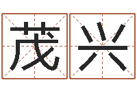 黄茂兴个性的英文名字-国运预测