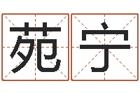 王苑宁测名夫-易经三藏免费算命