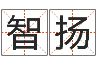 张智扬赐名宫-饭店名字打分