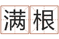 李满根生肖龙还受生钱年运势-紫薇斗数在线排盘