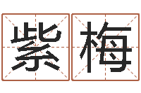 胡紫梅问世茬-四柱测试