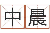 杨中晨邵姓宝宝起名字-周易名字测试