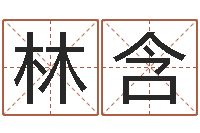 袁林含命名阁-月的黄道吉日