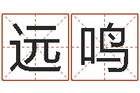 张远鸣在线免费算命-公司取名软件