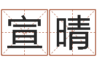 宣晴主命造-亏损