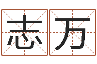 陈志万知名首-起名打分网
