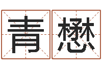 傅青懋奇门专业排盘-学习看八字