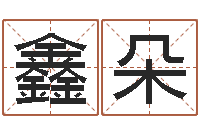 卢鑫朵手相面相算命-生肖血型