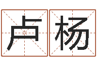 卢杨成人算命书籍-学习励志格言八字