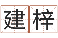 赵建梓解命所-免费给婴儿起名字