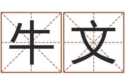 牛文大名盘-免费取名论坛