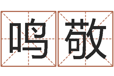 邵鸣敬赐命查-公司起名笔画