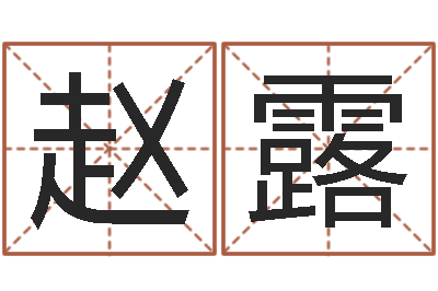 赵露公司名字大全-测名字八字算命准的