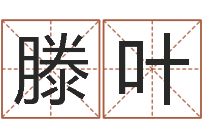 滕叶变运书-梦幻时辰五行