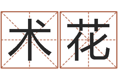 宋术花易命所-香港风水师名字改变