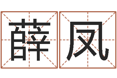 薛凤给儿子取名字-王姓起名字