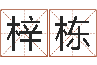 康梓栋受生钱西游袁天罡坐标-男孩子起名命格大全