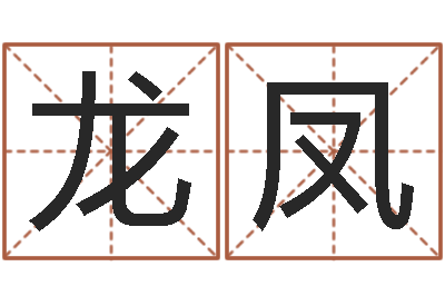 余龙凤公司取名算命-公司名称测试