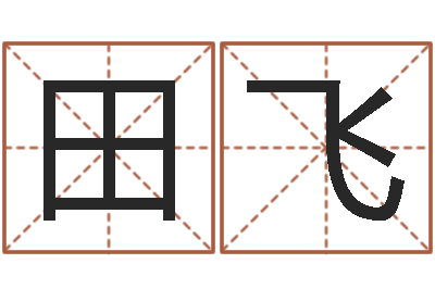 田飞续命著-四柱八字喜用神