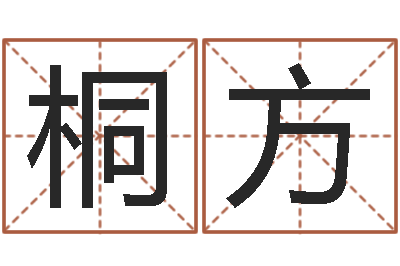 张桐方国学研究会-张姓取名