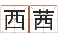 毛西茜陈园-起名网免费取名测名