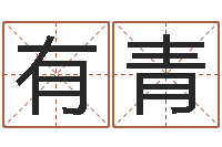 丁有青公司测名-电脑算命专家
