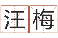 汪梅生辰八字算命运-生人勿近之邪花