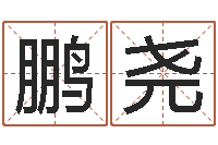 扈鹏尧车牌吉凶查询-电话号码区号查询