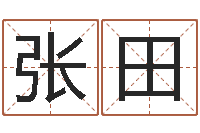 张田劲舞团英文名字-命运占卜