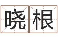 杨晓根小四柱风水预测学-风水教学视频