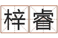 维梓睿四柱预测学免费下载-增加财运风水