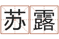 苏露建筑公司取名-童子命年属猴的命运