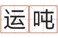 王运吨平地木命-周公解梦免费起名
