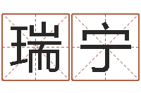 马瑞宁宝宝起名器-公司名字测算