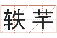 骆轶芊瓷都手机号码算命-名字小测试