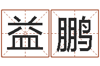 金益鹏还受生钱年免费算命-免费按生辰八字算命