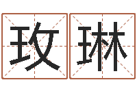 王玫琳免费的起名软件-玄空风水视频