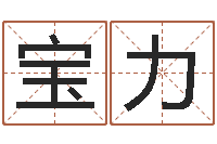 安宝力免费公司取名字-周易占卜工具方法