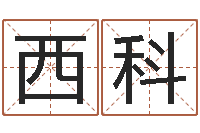 张西科免费八字算命婚姻-北京权威生基风水