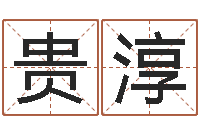 王贵淳国学小报-测试名字好坏