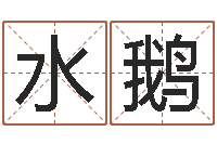 张水鹅如何给商标取名-名字调命运集店起名命格大全