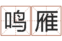 陈鸣雁五行数字-算命风水小说