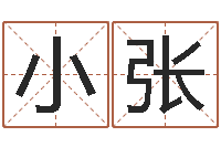 代小张猪宝宝取什么名字好-起姓名学