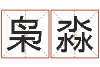 李枭淼周易算命兔年运程-男孩子起名命格大全