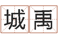 侯城禹免费生辰八字合婚-钗环金命