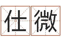 赵仕微四字取名-起商标名