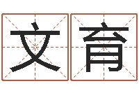 王文育怎么给公司起名-周易八字称骨算命